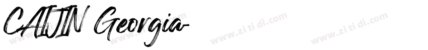 CAIJIN Georgia字体转换